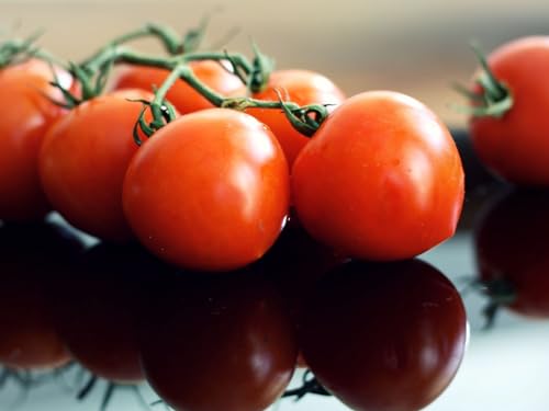 Puzzle 2000 Teile, Lernpuzzle Spielzeug Tomaten, Reife, Gemüse 70x100CM von EZMLFA