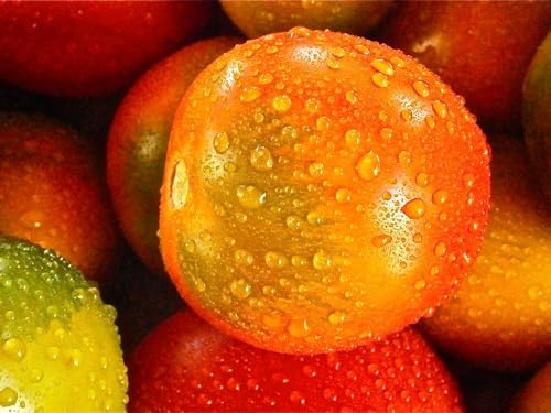 Puzzle 2000 Teile, Puzzle für Kleinkinder, Jungen und Mädchen ab 12 Jahren – Tomaten, Tropfen, Gemüse, 70 x 100 cm Puzzle 2000 Teile, Puzzle für Kleinkinder, Jungen und Mädchen ab 12 Jahren – Tomaten, Tropfen, Gemüse, 70 x 100 cm von EZMLFA