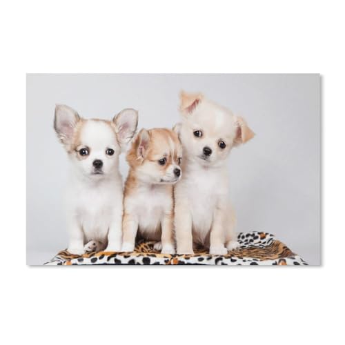 Puzzle 2000 Teile, Weißer Samojede, Schnee, Bäume, Holz, Reborn-Dekompressionsspiel für Kinder 70x100CM Puzzle 2000 Teile, Weißer Samojede, Schnee, Bäume, Holz, Reborn-Dekompressionsspiel für Kinder 70x100CM von EZMLFA