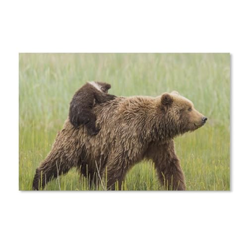 Puzzle 2000 Teile, Zwei Vögel, DIY-Kunst für Erwachsene, 38 x 52 cm, 70 x 100 cm von EZMLFA