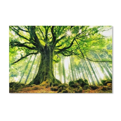 Puzzle 2000 Teile，Riesenbaum，Papier Kinderspielzeug Dekompressionsspiel 38x52CM 70x100CM von EZMLFA