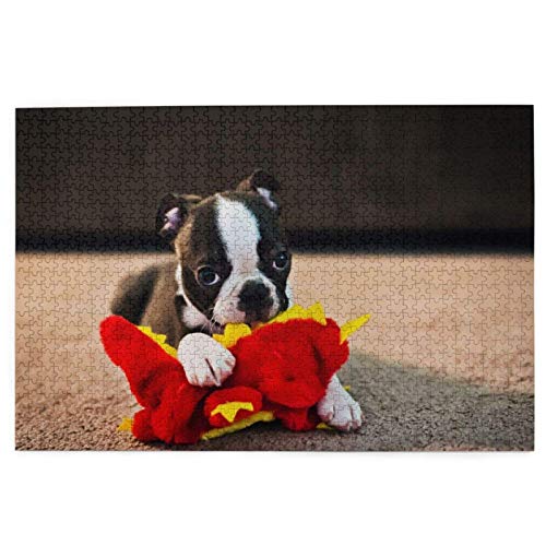 Puzzle 2000 Teile Boston Terrier Welpe Bokeh Hunde Hunde mit Spielzeug Puzzle Spielzeug Familienspiel Wanddekoration für Erwachsene Teenager 70x100CM von EZMLFA