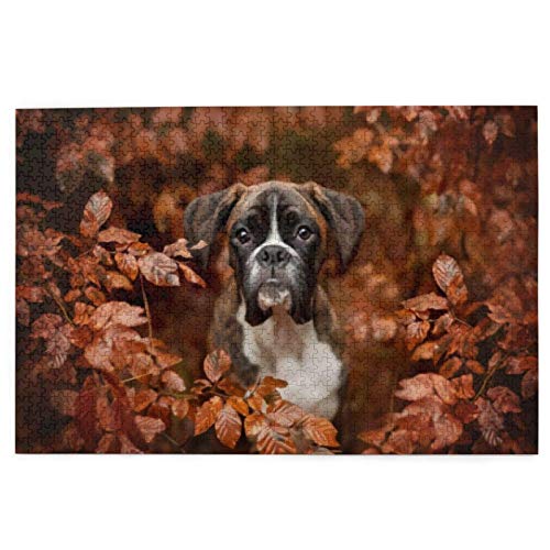 Puzzle 2000 Teile Boxerhunde Herbst-Selfie Puzzle Spielzeug Familienspiel Wanddekoration für Erwachsene Teenager 70x100CM von EZMLFA