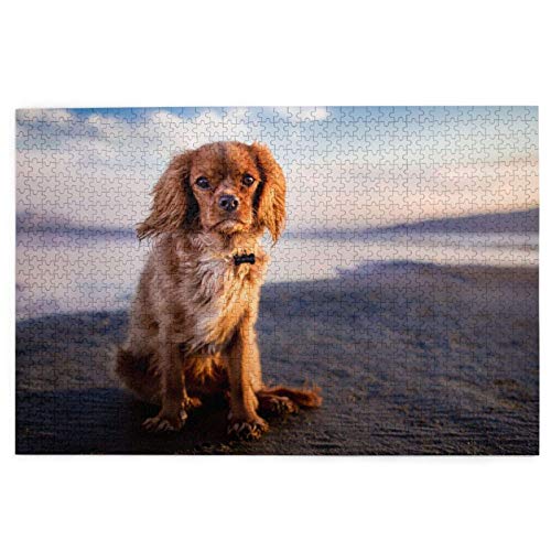 Puzzle 2000 Teile Cavalier King Charles Spaniel Küste Haustiere Hunde Puzzle Spielzeug Familienspiel Wanddekoration für Erwachsene Teenager 70x100CM von EZMLFA