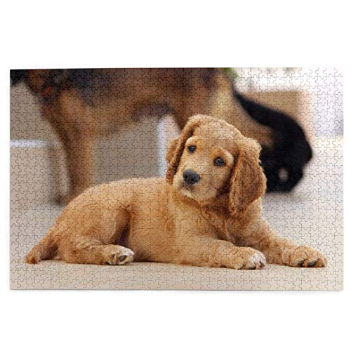 Puzzle 2000 Teile Cocker Spaniel Welpe Kleiner Spaniel Hunde Haustiere Puzzle Spielzeug Familienspiel Wanddekoration für Erwachsene Teenager 70x100CM von EZMLFA
