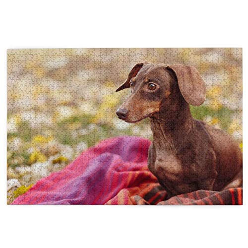 Puzzle 2000 Teile Dackelhunde Herbstbraune Dackel Haustiere Puzzle Spielzeug Familienspiel Wanddekoration für Erwachsene Teenager 70x100CM von EZMLFA