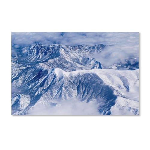 Puzzle 2000 Teile Erwachsenenpuzzle Kartonpuzzle Klassisches 3D-Puzzle Vogeltukan DIY Sammlerstücke Moderne Wohnkultur 70x100CM von EZMLFA