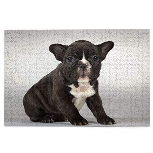 Puzzle 2000 Teile Französische Bulldoggen Schwarzer Kleiner Welpe Kleine Hunde Puzzlespielzeug Familienspiel Wanddekoration für Erwachsene Teenager 70x100CM von EZMLFA