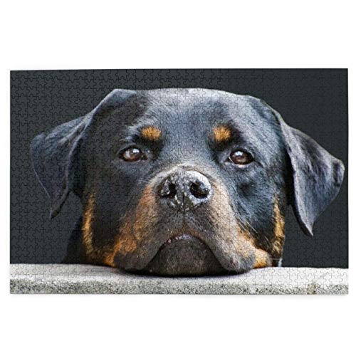 Puzzle 2000 Teile Rottweiler Haustiere Hunde Rottweiler Puzzle Spielzeug Familienspiel Wanddekoration für Erwachsene Teenager 70x100CM von EZMLFA