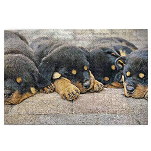 Puzzle 2000 Teile Rottweiler Schlafende Hunde Haustierwelpen Kleines Puzzlespielzeug Familienspiel Wanddekoration für Erwachsene Teenager 70x100CM Puzzle 2000 Teile Rottweiler Schlafende Hunde Haustierwelpen Kleines Puzzlespielzeug Familienspiel Wanddekoration für Erwachsene Teenager 70x100CM von EZMLFA