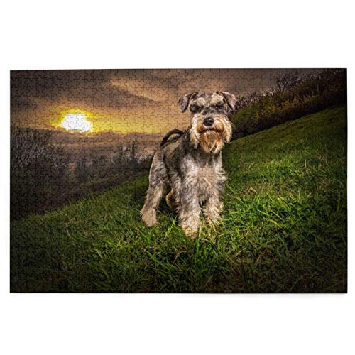 Puzzle 2000 Teile Schnauzer Sonnenuntergang Hunde Haustiere Berge Schnauzer Puzzle Spielzeug Familienspiel Wanddekoration für Erwachsene Teenager 70x100CM von EZMLFA