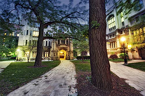 Puzzle 2000 Teile Universität von Chicago Klassisches Puzzle DIY Kit Spielzeug Einzigartiges Geschenk Wohnkultur 70x100CM von EZMLFA