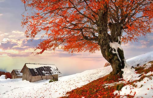 Puzzle 2000 Teile für Erwachsene, Lernspiele, Heimdekoration, Puzzle, Geschenke für Männer, Naturlandschaft, Sonnenuntergang, 70 x 100 cm Puzzle 2000 Teile für Erwachsene, Lernspiele, Heimdekoration, Puzzle, Geschenke für Männer, Naturlandschaft, Sonnenuntergang, 70 x 100 cm von EZMLFA