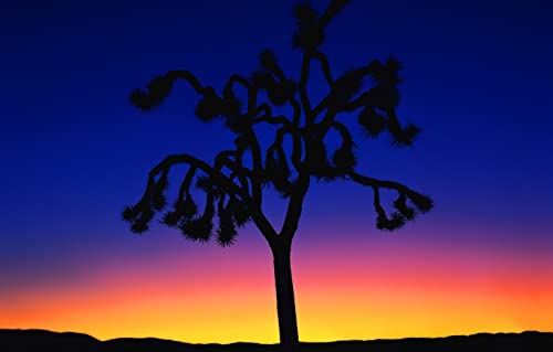 Puzzle 2000 Teile für Erwachsene, Lernspiele, Heimdekoration, Puzzle, Geschenke für Männer, personalisiertes Foto, Malen nach Zahlen, Naturlandschaft, Sonnenuntergang, 70 x 100 cm Puzzle 2000 Teile für Erwachsene, Lernspiele, Heimdekoration, Puzzle, Geschenke für Männer, personalisiertes Foto, Malen nach Zahlen, Naturlandschaft, Sonnenuntergang, 70 x 100 cm von EZMLFA