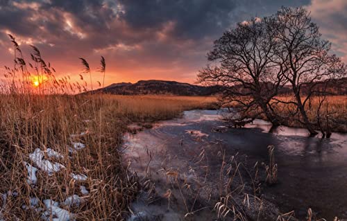 Puzzle 2000 Teile für Erwachsene, Lernspiele, Heimdekoration, Puzzle, Geschenke für Männer und Erwachsene mit DIY-Kits für Teenager, Naturlandschaft, Sonnenuntergang, Fluss, Schilf, 70 x 100 cm von EZMLFA