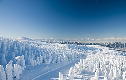 Puzzle 2000 Teile für Erwachsene, Lernspiele, Heimdekoration, Puzzle, Naturlandschaft, Wald, Berge, Japan, Yamagata, 70 x 100 cm Puzzle 2000 Teile für Erwachsene, Lernspiele, Heimdekoration, Puzzle, Naturlandschaft, Wald, Berge, Japan, Yamagata, 70 x 100 cm von EZMLFA