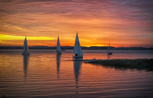 Puzzle 2000 Teile für Erwachsene, anspruchsvolle Puzzlespiele, Naturlandschaft, Sonnenuntergang, See, Segelboot, 70 x 100 cm Puzzle 2000 Teile für Erwachsene, anspruchsvolle Puzzlespiele, Naturlandschaft, Sonnenuntergang, See, Segelboot, 70 x 100 cm von EZMLFA