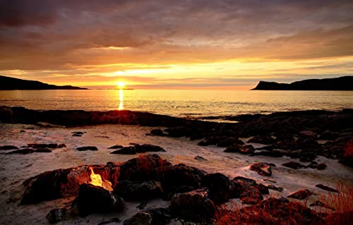 Puzzle 2000 Teile für Erwachsene, anspruchsvolle Puzzlespiele, Naturlandschaft, Strand, Sonnenuntergang, 70 x 100 cm Puzzle 2000 Teile für Erwachsene, anspruchsvolle Puzzlespiele, Naturlandschaft, Strand, Sonnenuntergang, 70 x 100 cm von EZMLFA