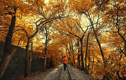 Puzzle 2000 Teile für Erwachsene, anspruchsvolle Puzzlespiele, Naturlandschaft, Straße, Blätter, Spur, Brünette, 70 x 100 cm Puzzle 2000 Teile für Erwachsene, anspruchsvolle Puzzlespiele, Naturlandschaft, Straße, Blätter, Spur, Brünette, 70 x 100 cm von EZMLFA
