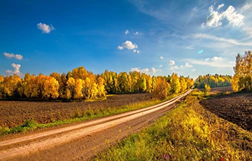 Puzzle 2000 Teile für Erwachsene, anspruchsvolle Puzzlespiele, Naturlandschaft, Straße, Feld, 70 x 100 cm Puzzle 2000 Teile für Erwachsene, anspruchsvolle Puzzlespiele, Naturlandschaft, Straße, Feld, 70 x 100 cm von EZMLFA