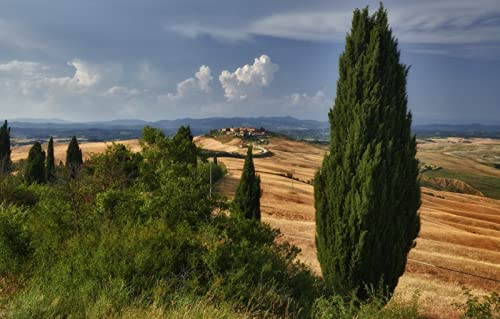 Puzzle 2000 Teile für Erwachsene, anspruchsvolle Puzzlespiele, Naturlandschaft, Straße, Hügel, Italien, 70 x 100 cm Puzzle 2000 Teile für Erwachsene, anspruchsvolle Puzzlespiele, Naturlandschaft, Straße, Hügel, Italien, 70 x 100 cm von EZMLFA