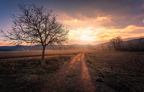 Puzzle 2000 Teile für Erwachsene, anspruchsvolle Puzzlespiele, Naturlandschaft, Straße, Spanien, La Mancha, 70 x 100 cm von EZMLFA