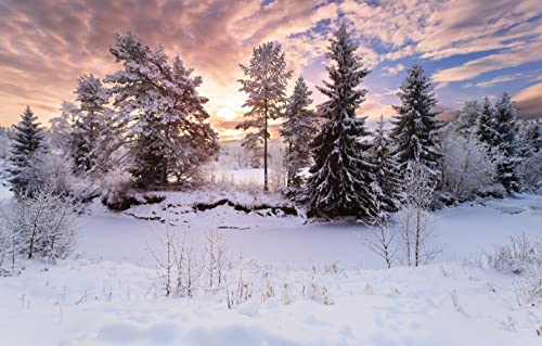 Puzzle 2000 Teile für Erwachsene, anspruchsvolle Puzzlespiele, Naturlandschaft, Wald, 70 x 100 cm Puzzle 2000 Teile für Erwachsene, anspruchsvolle Puzzlespiele, Naturlandschaft, Wald, 70 x 100 cm von EZMLFA