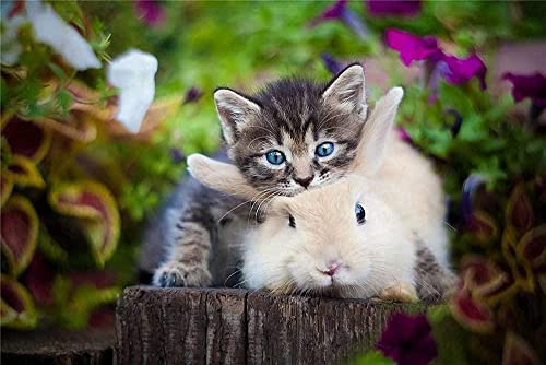 Puzzle 2000 Teile für Erwachsene - Katze und Kaninchen Puzzle Dekoration Spielzeug Geschenk für Kinder - Herausfordernde Familienpuzzles für Spaß 70x100CM von EZMLFA