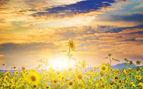 Puzzle 2000 Teile für Erwachsene und Kinder, Sonnenblumenblühend, pädagogische Dekompressionsspiele Freizeitpuzzle Landschaftspuzzles Spielzeug 70x100CM von EZMLFA