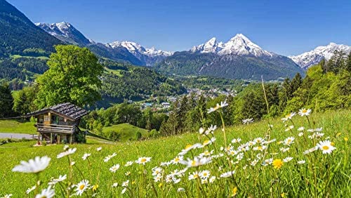 Puzzle 2000 Teile für Erwachsene und Kinder Alpen pädagogische Dekompressionsspiele Freizeitpuzzle Landschaftspuzzles Spielzeug 70x100CM von EZMLFA