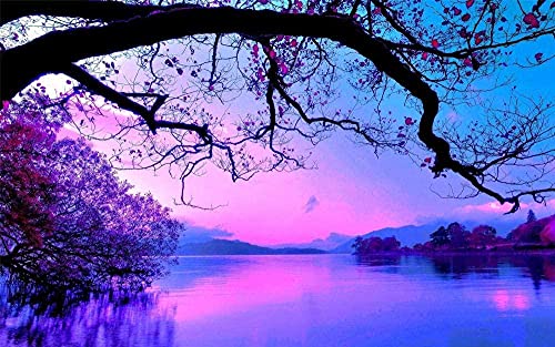 Puzzle 2000 Teile für Erwachsene und Kinder Rosa Sonnenuntergang See Lernspiele Dekompressionsspiele Freizeitpuzzle Landschaftspuzzles Spielzeug 70x100CM von EZMLFA