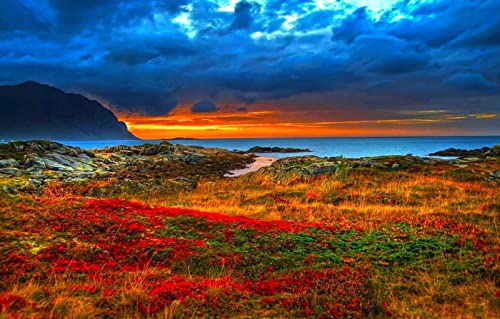 Puzzle 2000 Teile für Jungen, Schönheit der Natur, Horizont, Ozean, Blume, Sonnenuntergang, Küste, 70x100CM Puzzle 2000 Teile für Jungen, Schönheit der Natur, Horizont, Ozean, Blume, Sonnenuntergang, Küste, 70x100CM von EZMLFA