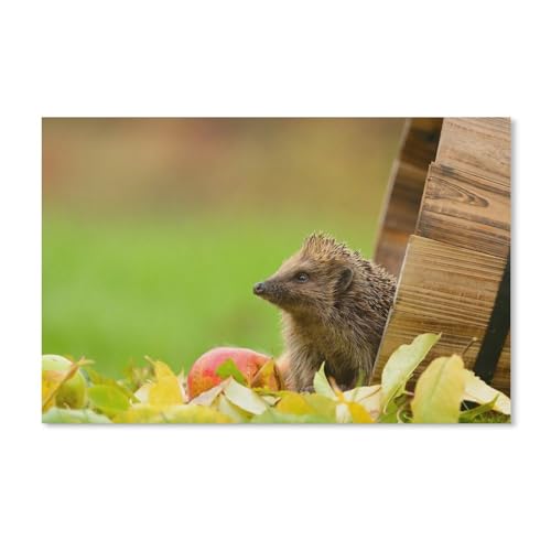 Puzzle 2000 Teile zum Zusammensetzen von Bildern, Igel, Blätter, Apfel, Fass, Spiele für Erwachsene, Lernspielzeug, 38 x 52 cm, 70 x 100 cm Puzzle 2000 Teile zum Zusammensetzen von Bildern, Igel, Blätter, Apfel, Fass, Spiele für Erwachsene, Lernspielzeug, 38 x 52 cm, 70 x 100 cm von EZMLFA