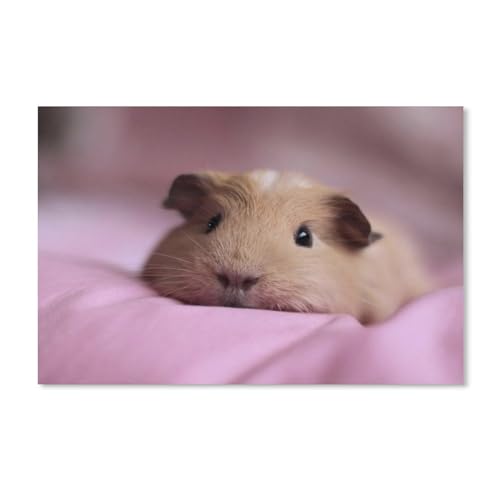 Puzzle 2000 Teile zum Zusammensetzen von Bildern, Meerschweinchen, Spiele für Erwachsene, Lernspielzeug, 38 x 52 cm, 70 x 100 cm von EZMLFA