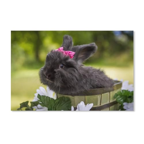 Puzzle 2000 Teile zum Zusammensetzen von Bildern, süßes schwarzes Kaninchen, Haustiere, Spiele für Erwachsene, Lernspielzeug, 38 x 52 cm, 70 x 100 cm Puzzle 2000 Teile zum Zusammensetzen von Bildern, süßes schwarzes Kaninchen, Haustiere, Spiele für Erwachsene, Lernspielzeug, 38 x 52 cm, 70 x 100 cm von EZMLFA