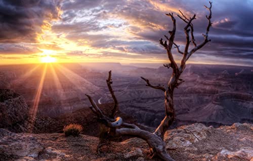 Puzzle Boys 3D Puzzle 1000 Teile, Naturschönheit, Holz, Arizona, Sonnenuntergang, Sonne, Tal, Grand Canyon 50x70CM Puzzle Boys 3D Puzzle 1000 Teile, Naturschönheit, Holz, Arizona, Sonnenuntergang, Sonne, Tal, Grand Canyon 50x70CM von EZMLFA