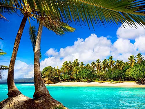 Puzzle Puzzle 2000 Teile Exotische Palme Strand Blick Puzzles Pädagogisches Spielzeug für Erwachsene Geburtstagsgeschenk Heimdekoration 70x100CM von EZMLFA