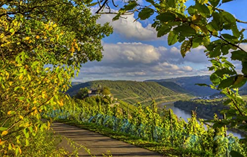 Puzzle für 2000 Teile, unmögliches Puzzle für Erwachsene, Lernspiele, Geschenke für Männer, Naturlandschaft, Straßen, Berge, Flüsse, Felder, Deutschland, 70 x 100 cm Puzzle für 2000 Teile, unmögliches Puzzle für Erwachsene, Lernspiele, Geschenke für Männer, Naturlandschaft, Straßen, Berge, Flüsse, Felder, Deutschland, 70 x 100 cm von EZMLFA