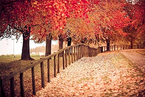 Puzzle für Erwachsene, 1000 Teile, 1000 Teile, Geschenk für Kinderspielzeug, Spiel, passend für herausfordernde Kunstwerke 26x38CM Puzzle für Erwachsene, 1000 Teile, 1000 Teile, Geschenk für Kinderspielzeug, Spiel, passend für herausfordernde Kunstwerke 26x38CM von EZMLFA