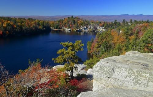 Puzzle für Erwachsene, 1000 Teile, Brückenpuzzle für Erwachsene, anspruchsvolles Spiel, Bäume, New York, Minnewaska State Park Preserve, Lake Minnewaska, 38 x 52 cm, 38 x 26 cm von EZMLFA