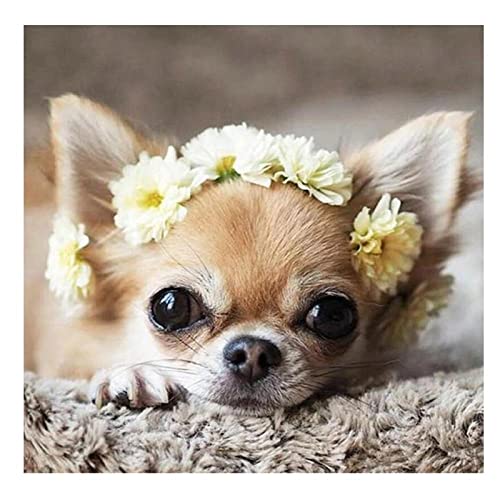 Puzzle für Erwachsene, 1000 Teile, Chihuahua-Hundepuzzle für Kinder, Jugendliche und Familien, Freizeitpuzzle, 50 x 70 cm von EZMLFA