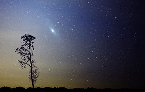 Puzzle für Erwachsene, 1000 Teile, Geschenkideen für Erwachsene, Naturlandschaft, Galaxie, Andromeda, 50 x 70 cm Puzzle für Erwachsene, 1000 Teile, Geschenkideen für Erwachsene, Naturlandschaft, Galaxie, Andromeda, 50 x 70 cm von EZMLFA