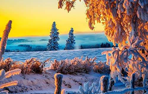 Puzzle für Erwachsene, 1000 Teile, Geschenkideen für Erwachsene, Naturlandschaft, Straße, Feld, Morgen, 50 x 70 cm Puzzle für Erwachsene, 1000 Teile, Geschenkideen für Erwachsene, Naturlandschaft, Straße, Feld, Morgen, 50 x 70 cm von EZMLFA