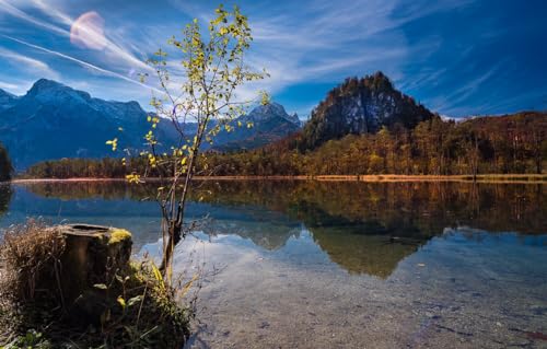 Puzzle für Erwachsene, 1000 Teile, Lernspiel, Herausforderungsspielzeug, 1000 Teile Puzzle für Erwachsene und Kinder, Landschaft, Berge, Baumstumpf, Österreich, Wälder, 38 x 26 cm Puzzle für Erwachsene, 1000 Teile, Lernspiel, Herausforderungsspielzeug, 1000 Teile Puzzle für Erwachsene und Kinder, Landschaft, Berge, Baumstumpf, Österreich, Wälder, 38 x 26 cm von EZMLFA