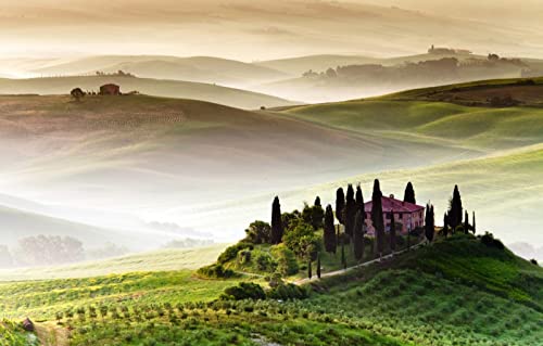 Puzzle für Erwachsene, 1000 Teile, Lernspiele, Heimdekoration, Geschenke für Männer, Naturlandschaft, Felder, Hügel, Italien, 38 x 52 cm Puzzle für Erwachsene, 1000 Teile, Lernspiele, Heimdekoration, Geschenke für Männer, Naturlandschaft, Felder, Hügel, Italien, 38 x 52 cm von EZMLFA