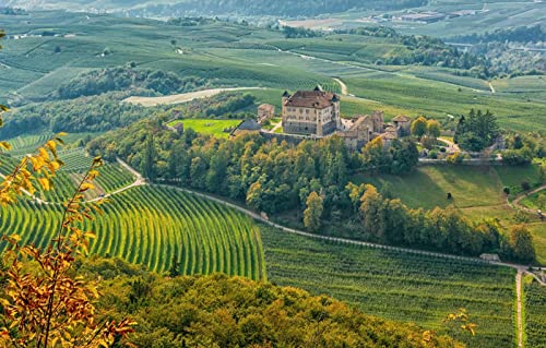 Puzzle für Erwachsene, 1000 Teile, Lernspiele, Heimdekoration, Geschenke für Männer, Naturlandschaft, Schloss, Italien, 50 x 70 cm von EZMLFA