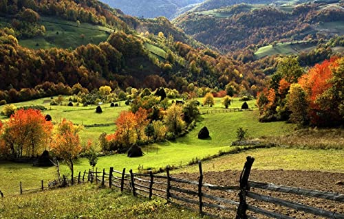 Puzzle für Erwachsene, 1000 Teile, Lernspiele, Heimdekoration, Geschenke für Männer, Naturlandschaft, Wald, Berg, 50 x 70 cm Puzzle für Erwachsene, 1000 Teile, Lernspiele, Heimdekoration, Geschenke für Männer, Naturlandschaft, Wald, Berg, 50 x 70 cm von EZMLFA