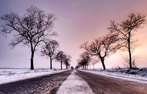 Puzzle für Erwachsene, 1000 Teile, Lernspiele, Heimdekoration, Naturlandschaft, Straße, Schnee, 50 x 70 cm von EZMLFA