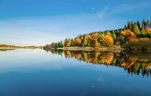 Puzzle für Erwachsene, 1000 Teile, Lernspiele, Heimdekoration, Naturlandschaft, Wald, Vereinigtes Königreich, Stausee, Dartmoor-Nationalpark, 38 x 52 cm Puzzle für Erwachsene, 1000 Teile, Lernspiele, Heimdekoration, Naturlandschaft, Wald, Vereinigtes Königreich, Stausee, Dartmoor-Nationalpark, 38 x 52 cm von EZMLFA