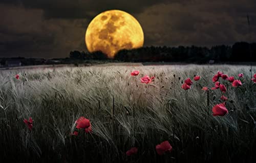 Puzzle für Erwachsene, 1000 Teile, Naturschönheit, Blumen, Mond, 50 x 70 cm von EZMLFA